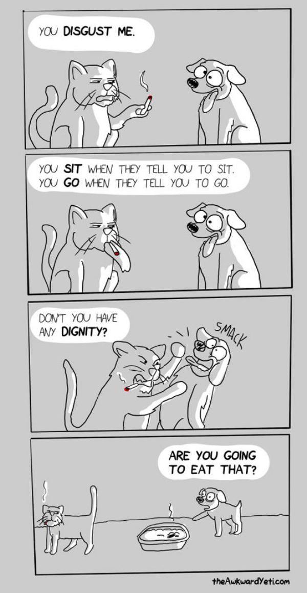 dignity funny picture