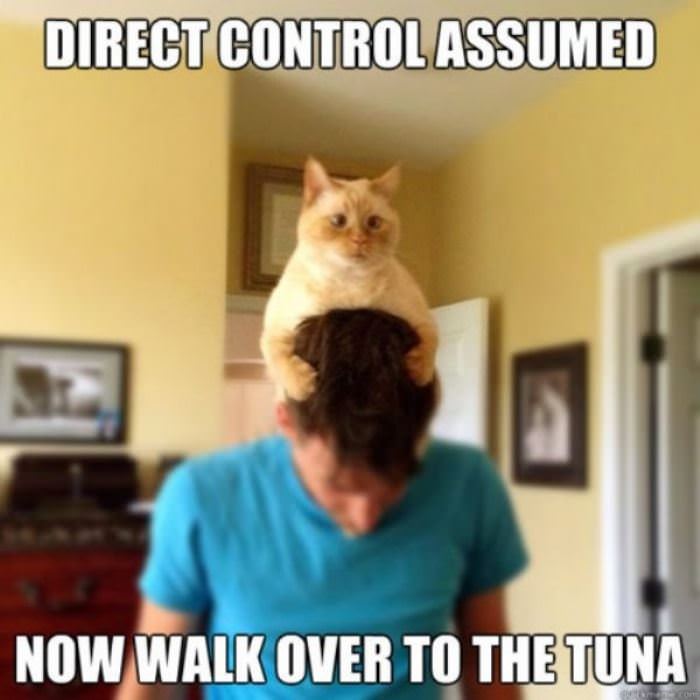 direct control assumed funny picture