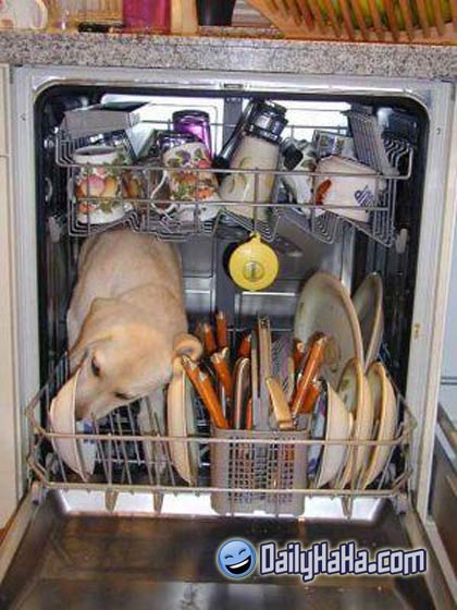 Dish washer