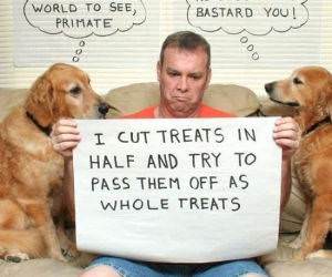 display your shame funny picture