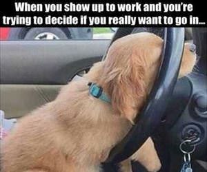 do i even go in today