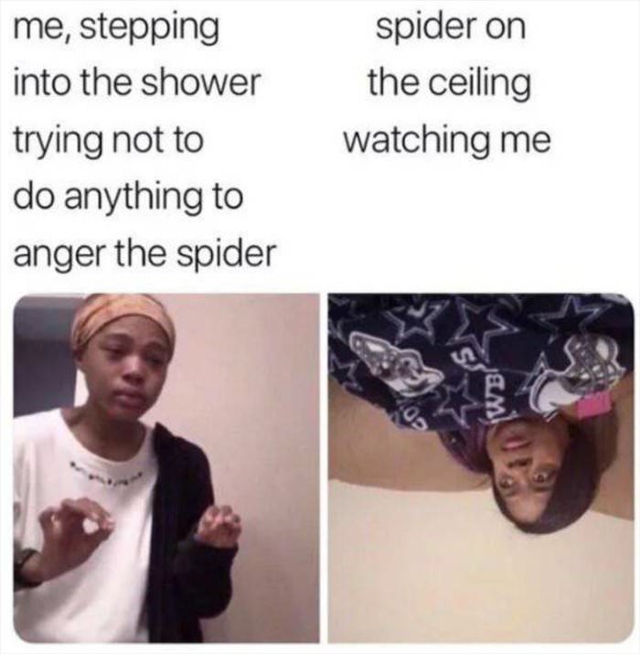 do not anger the spider