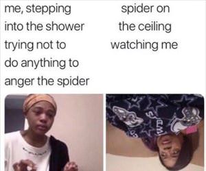 do not anger the spider