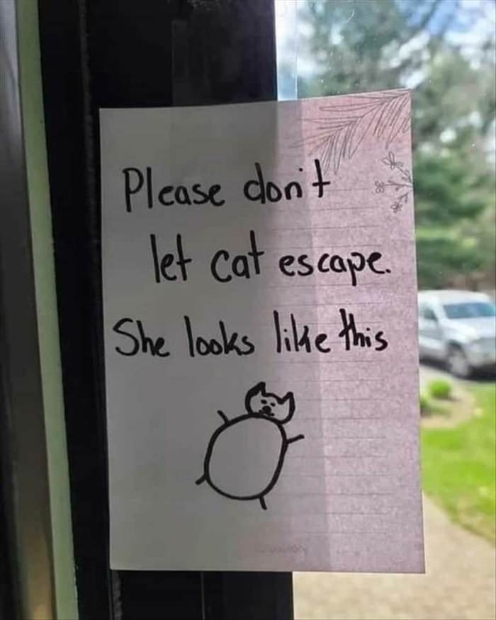 do not let the cat escape