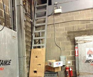 do what I want ... 2