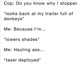 do you know why i stopped you ... 2