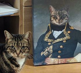 do you think this is funny