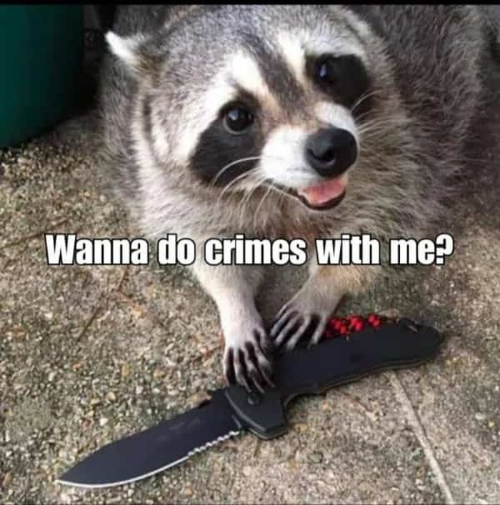 do you wanna
