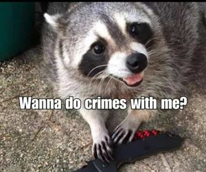 do you wanna