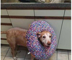 do not take it away funny picture