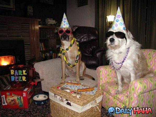 Canine Birthday funny picture