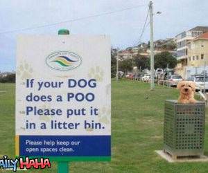 Dog Poo funny picture
