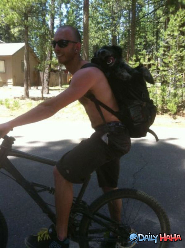 Dog Rides Bike funny picture