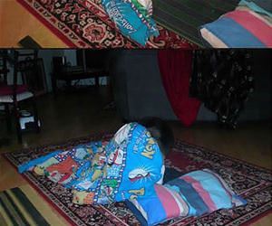 dog has put himself to bed funny picture