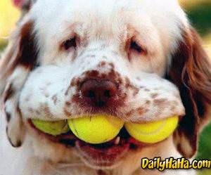 He can carry the balls well