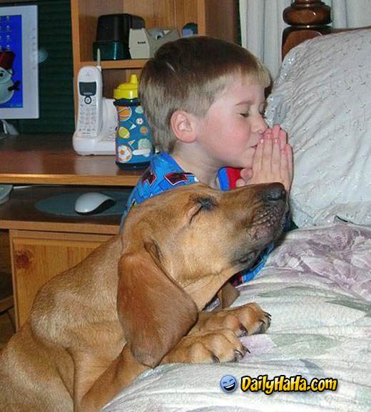 Dog Praying