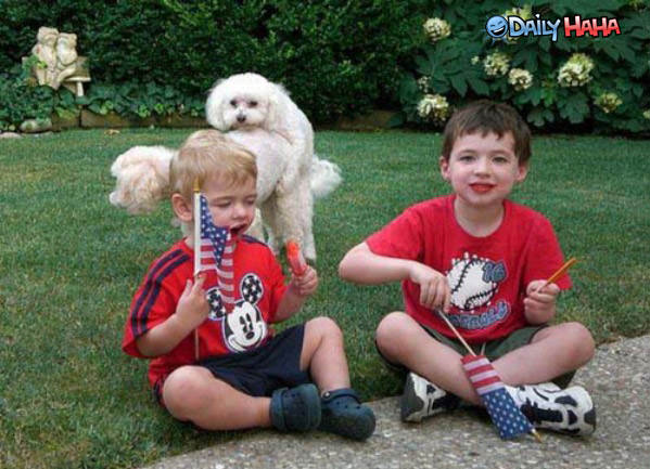 Doggie Style funny picture