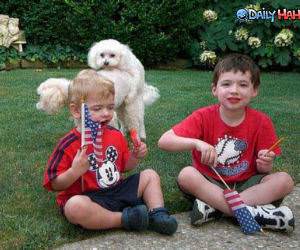 Doggie Style funny picture