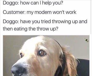 doggo support