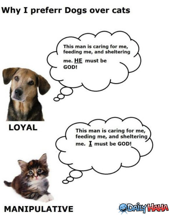 Dogs VS Cats funny picture