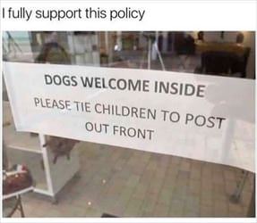 dogs welcome