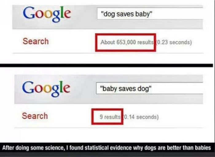 dogs vs babies funny picture