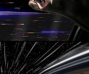 dogs warping in space funny picture