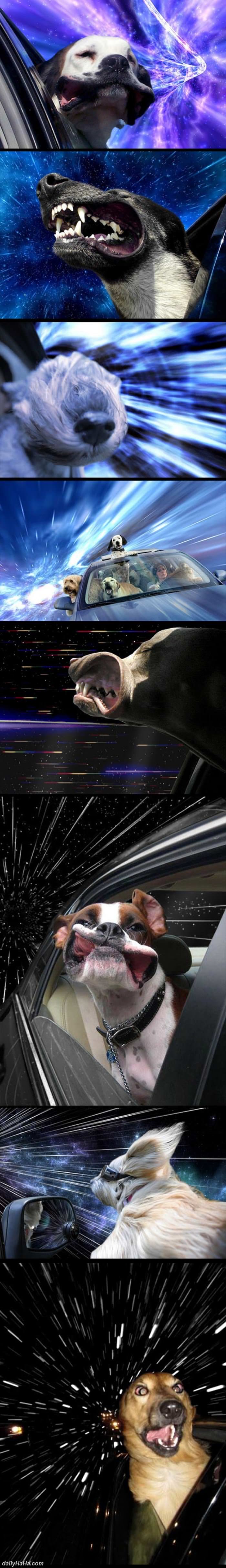 dogs warping through space funny picture