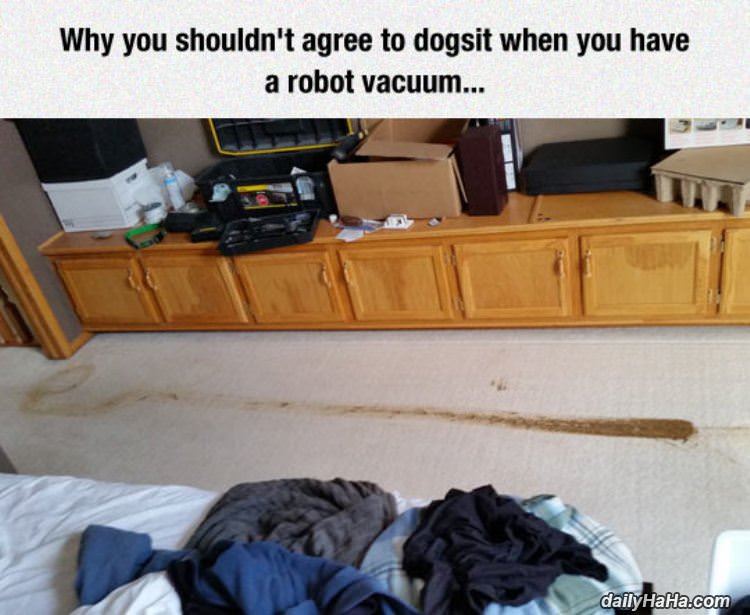 dogsitting can be extra fun funny picture