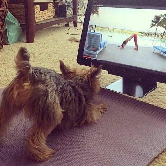 doing yoga together
