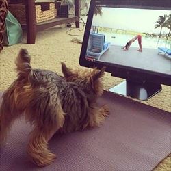 doing yoga together
