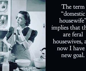 domestic ... 2