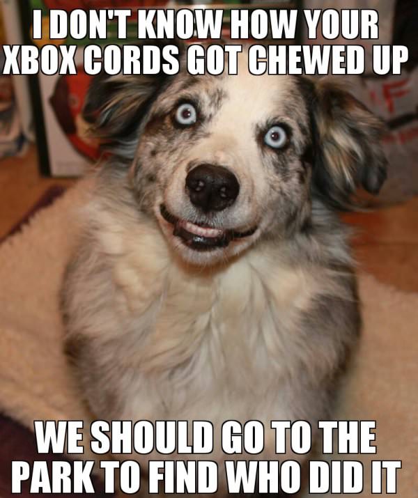 Dont Know How funny picture