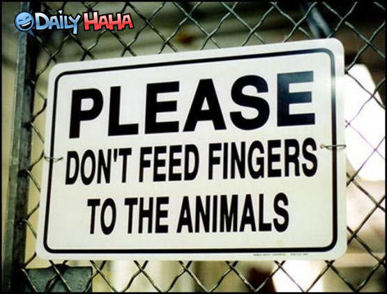 Dont feed fingers