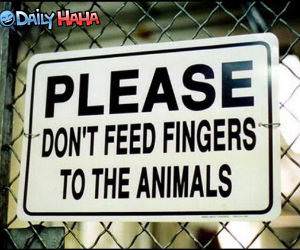 Dont feed fingers