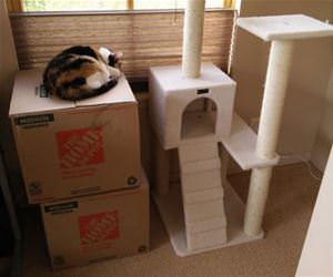 dont know what i expected funny picture