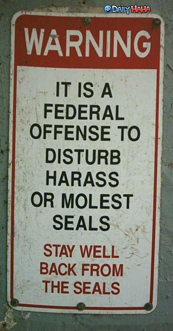 Dont Molest the Seals