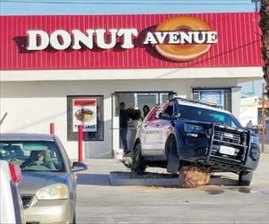 donut avenue