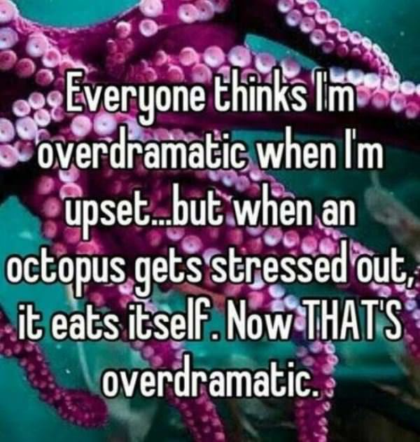 dramatic funny picture