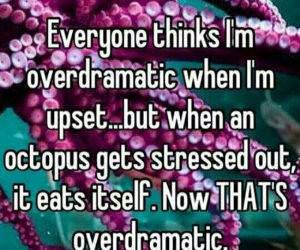 dramatic funny picture