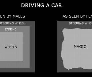 Driving A Car funny picture