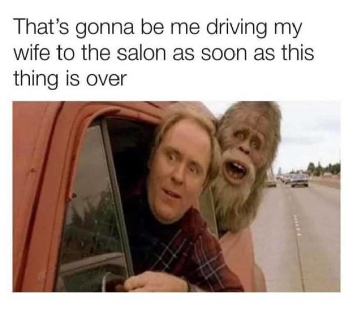 driving my wife
