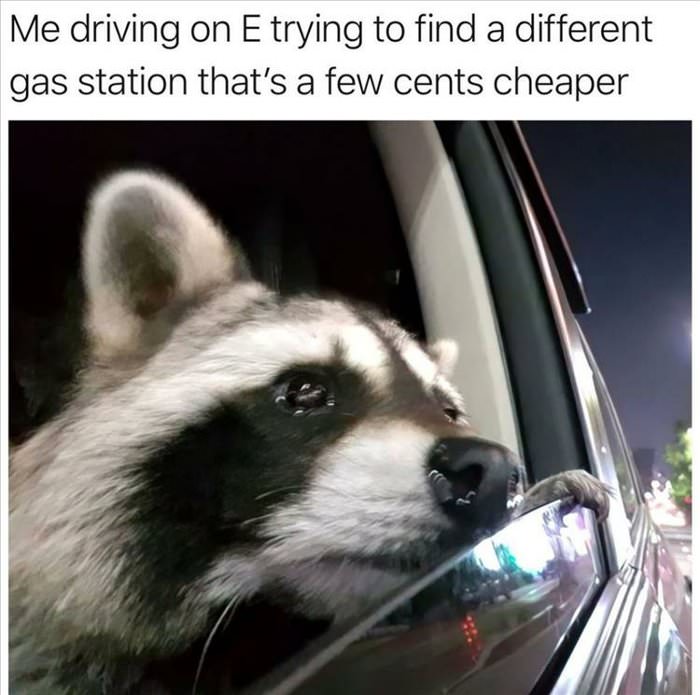 driving on e