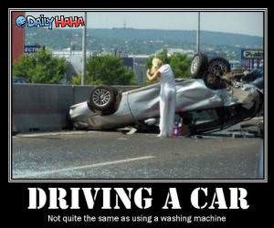 Driving a Car Funny Picture