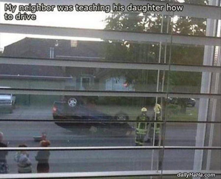 driving lessons going well funny picture