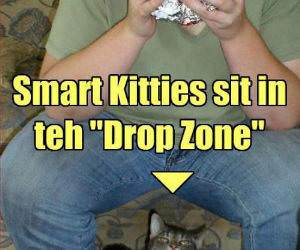 Drop Zone funny picture