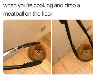 dropped a meatball
