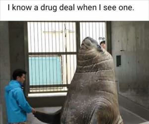 drug deal