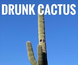 drunk cactus