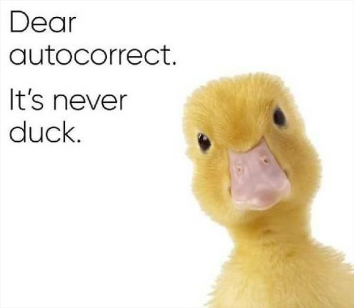 ducking